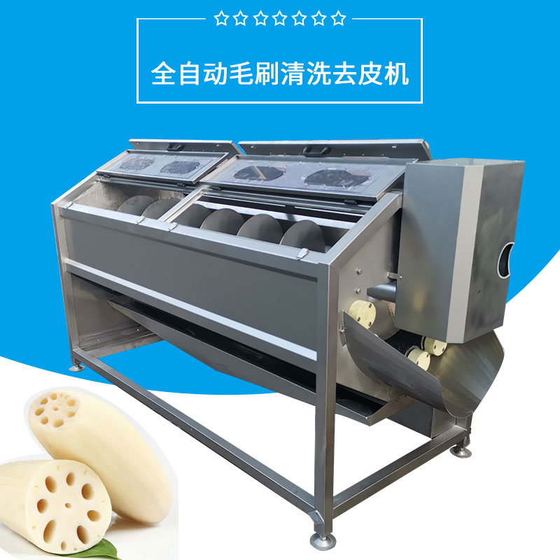 全自動毛刷清（qīng）洗去（qù）皮機FJY-TR2800