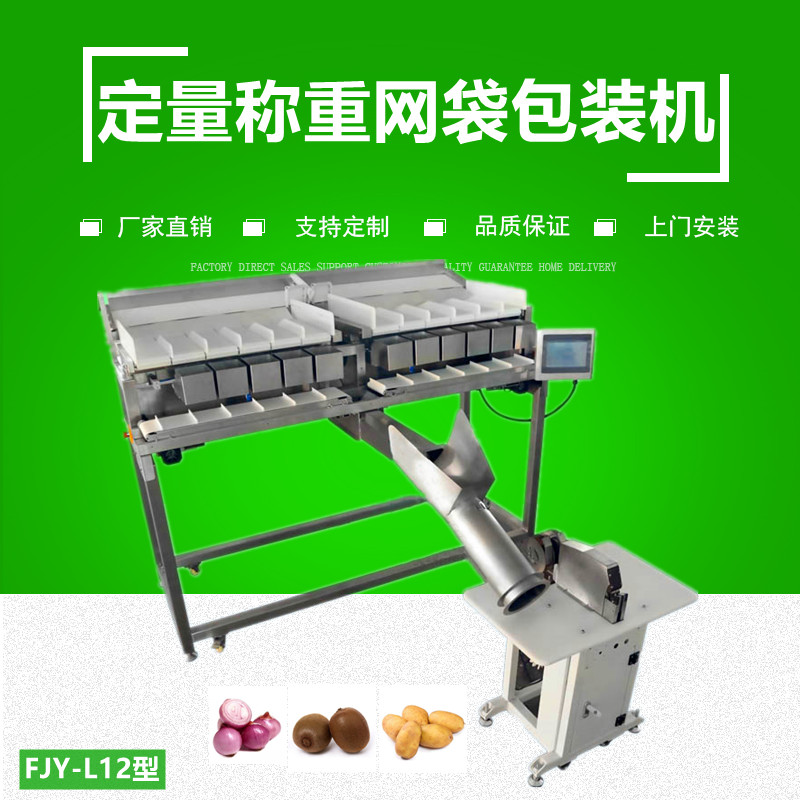 定量稱重網袋包裝機FJY-L12型（xíng）